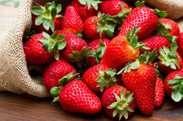 草莓芽线虫怎么防治