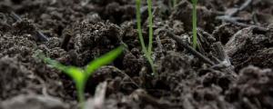 万能营养土的配制方法