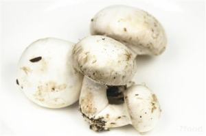 蘑菇精油功效与作用